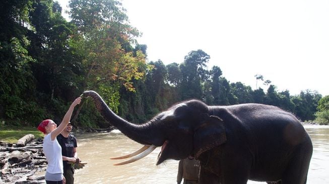 Ekowisata Tangkahan, Sumatera Utara. (Dok : Indonesia Travel).