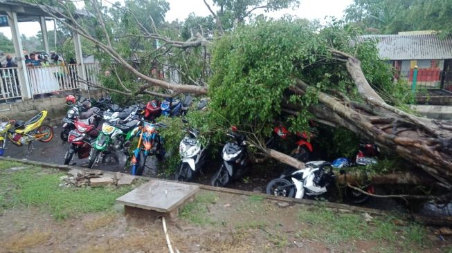 Tangerang Diterjang Puting Beliung, Motor Berjejer Ringsek Tertimpa Pohon