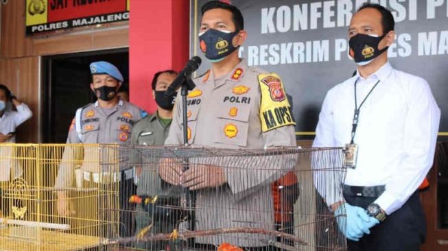 Jual Burung Terlarang, Pria Asal Bandung Ditangkap