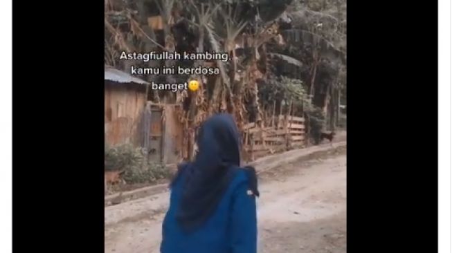 Video mahasiswi diganggu kambing hitam saat buat video. - (Twitter/@jawafess)