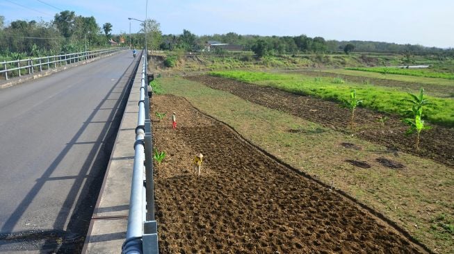 Petani mengolah tanah di lahan aliran Sungai Serang yang surut di Desa Genengsari, Kemusu, Boyolali, Jawa Tengah, Senin (28/9/2020).  [ANTARA FOTO/Yusuf Nugroho]