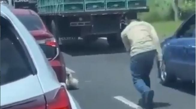 Penyelamatan nyawa ayam dilakukan pemobil saat kondisi macet (Instagram)