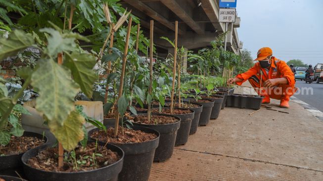 Ewindo Ajak Kaum Milenial Gali Potensi Ekonomi Lewat Urban Farming