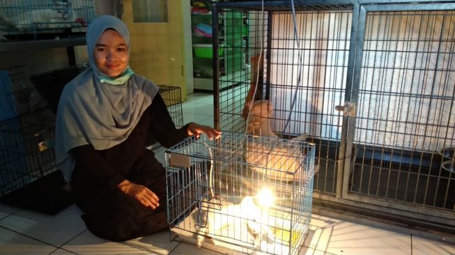 Kisah Talitha, Perawat Kucing dan Anjing Liar di Samarinda