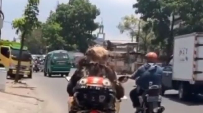 Viral 'Bangsa Viking' Naik Honda Vario Jadi Tontonan, Mau Kemana Tuh?