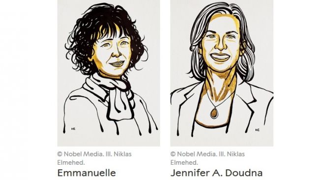 Emmanuelle Charpentier dari Prancis dan Jennifer Doudna dari Amerika Serikat, pada Rabu (7/10/2020), diumumkan sebagai pemenang Nobel Kimia 2020. [Nobel Media/Niklas Emelhed]