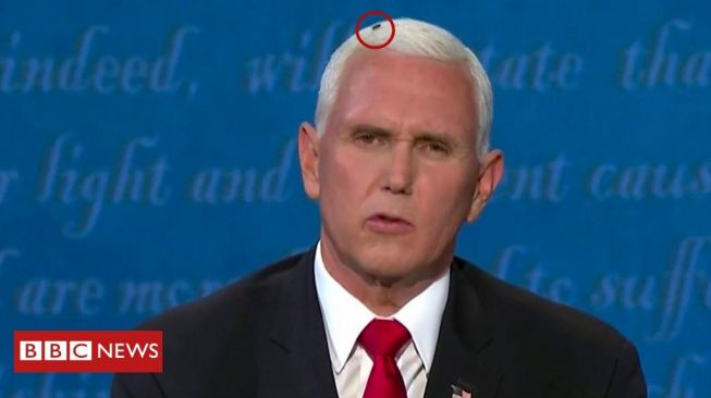 Lalat Hinggap di Kepala Mike Pence saat Debat Capres AS, Publik Geger