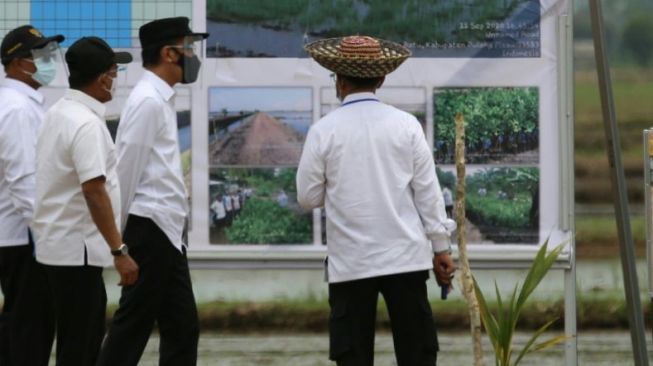 Presiden Jokowi mengunjungi food estate di Kalteng, Kamis (8/10/2020). (Dok : Kementan)