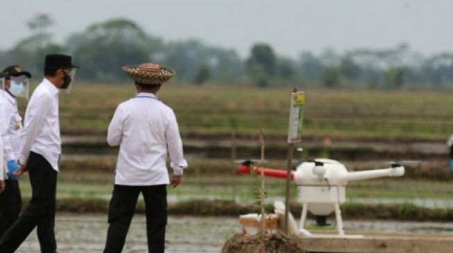 Presiden Jokowi mengunjungi food estate di Kalteng, Kamis (8/10/2020). (Dok : Kementan)