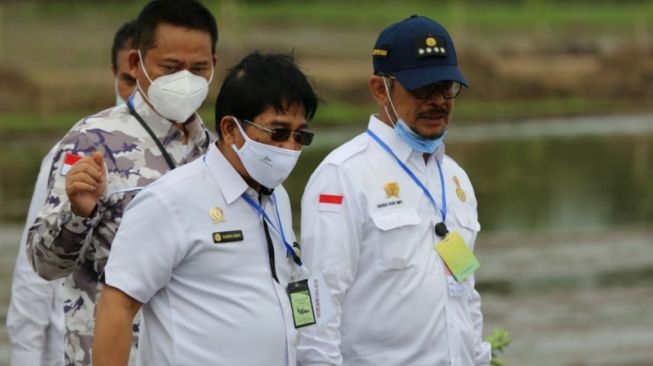 Baru Dimanfaatkan 5 Persen, Kementan Bakal Tingkatkan Produktivitas Sagu