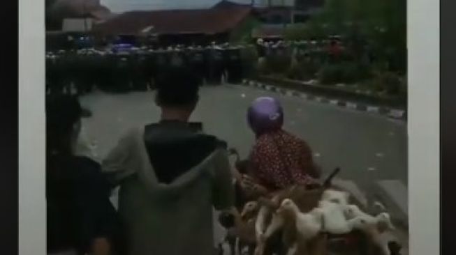 Viral Emak-emak Bawa Bebek Santuy Terobos Massa Aksi hingga Barikade Polisi