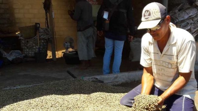 Seorang petani di Kecamatan Gemawang, Kabupaten Temanggung, menunjukkan biji kopi yang sudah dipisahkan dari kulitnya [ANTARA/Heru Suyitno].