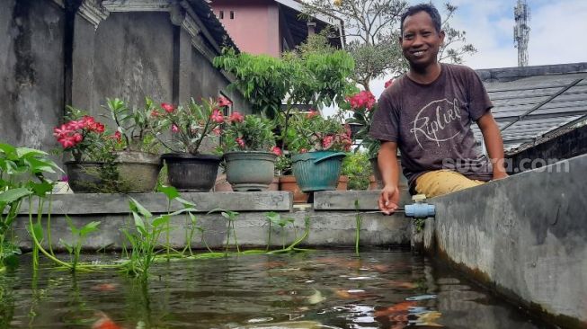 Hobi Pelihara Ikan Hias Selama 25 Tahun, Nasib Ismayadi Makin Mujur