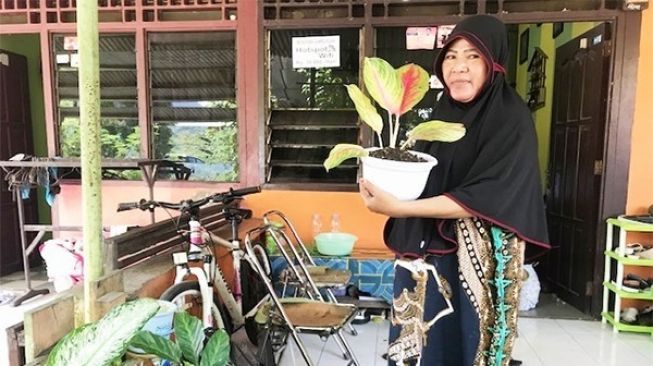 Lebih Bermanfaat, Coba Cari Untung dari Bisnis Tanaman Hias