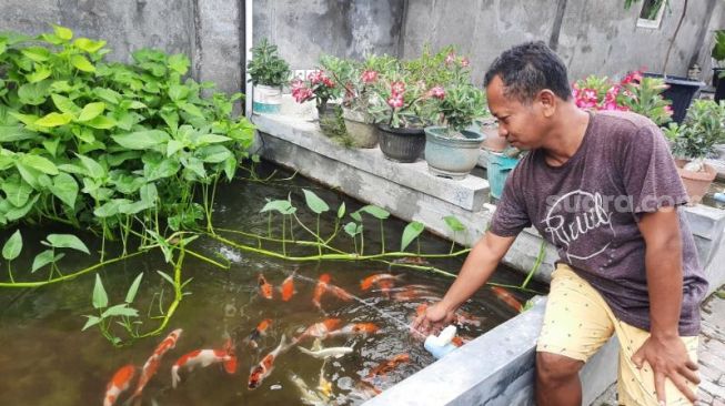 Ismayadi bersama dengan koleksi ikan-ikan hias di rumahnya Kadisoro, Gilangharjo, Pandak, Bantul, Sabtu (10/10/2020). - (SuaraJogja.id/Hiskia Andika)