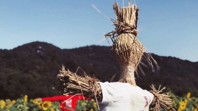 Petani Ini Gunakan Orang-orangan Sawah Untuk Lawan Covid-19, Kok Bisa?