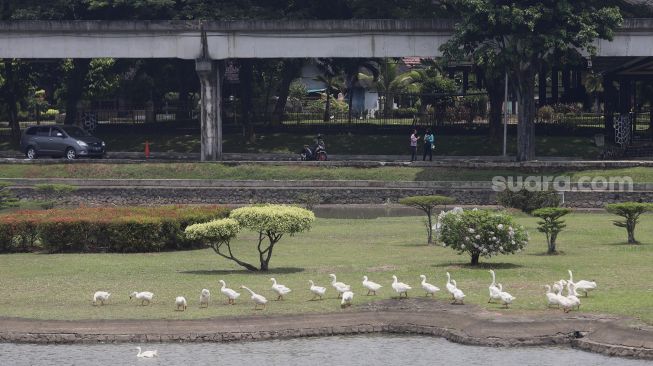 Pengunjung berfoto di kawasan anjungan Dunia Air Tawar di Taman Mini Indonesia Indah (TMII), Jakarta, Rabu (14/10/2020). [Suara.com/Angga Budhiyanto]