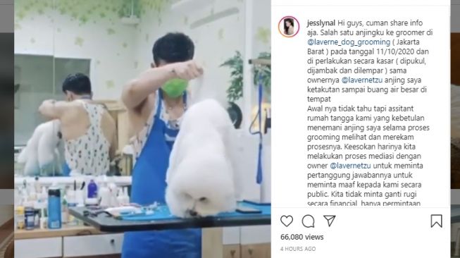 Viral Video Perlakuan Kasar Groomer ke Anjing Pelanggan, Panen Kecaman