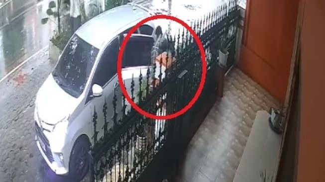 Detik-detik pemobil terekam kamera CCTV mencuri tanaman (Facebook)