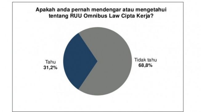 Di Tengah Gelombang Demo, Survei: Cuma Sedikit Publik yang Tahu UU Ciptaker