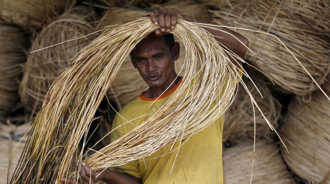 Pekerja membawa rotan mentah untuk bahan baku industri mebel dan kerajinan rumah tangga untuk dijemur di Banda Aceh, Aceh, Sabtu (17/10/2020). [ANTARA FOTO/Irwansyah Putra]