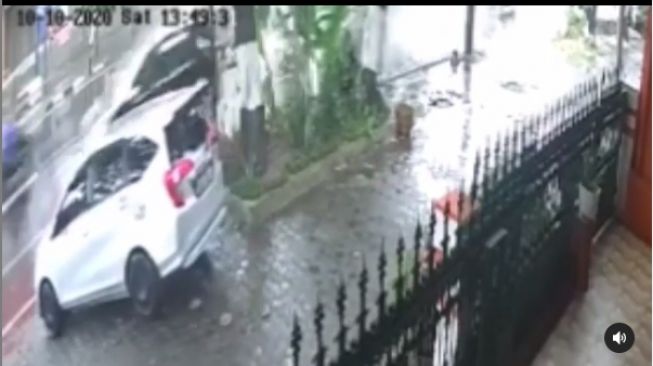 Video aksi pencurian tanaman hias oleh pengendara mobil di halaman rumah. - (Instagram/@jogja_ig)