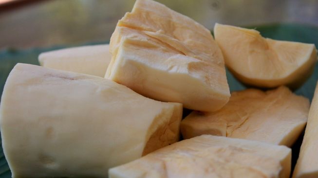 Tepung tapioka dalam bahasa malaysia