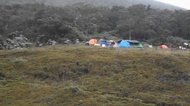 Pendakian Gunung Gede Pangrango Dibuka Kembali 5 Maret