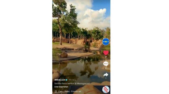 Bali Zoo (Tiketcom)