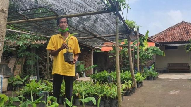 Viral Kiat Sukses Usaha Karena Pelihara Tuyul, Ini Penjelasan Mbah Lasiyo