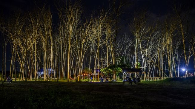 Suasana di antara pohon jati yang mengering di kawasan geo wisata Taman Likuefaksi, Desa Lolu, Kabupaten Sigi, Sulawesi Tengah, Jumat (23/10/2020). [ANTARA FOTO/Basri Marzuki]