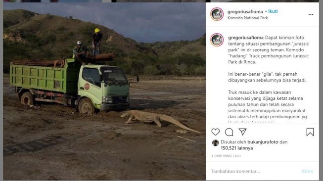 Seekor komodo menghadang truk perusak habitatnya. (Instagram/@gregoriusafioma)