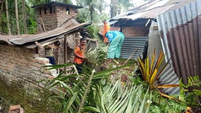 Pohon Tumbang Timpa 2 Rumah di Agam