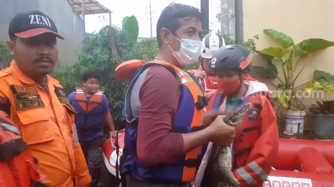 Banjir Mulai Surut, Biawak dan Ular Berkeliaran di Griya Cimanggu Bogor