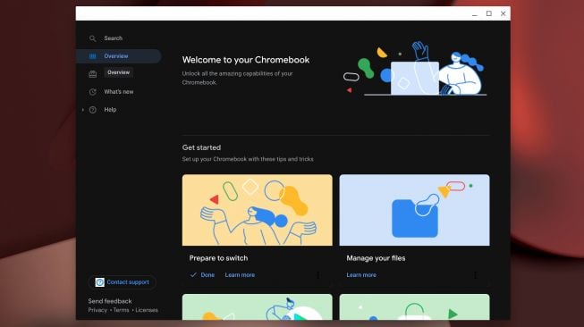 Chrome OS Akhirnya Mendapatkan Mode Gelap, Tapi...