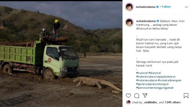 Melanie Subono menanggapi habitat komodo. (Instagram/@melaniesubono)