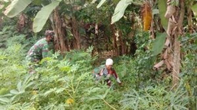 Babinsa Desa Baru Bantu Warga Dalam Hanpangan