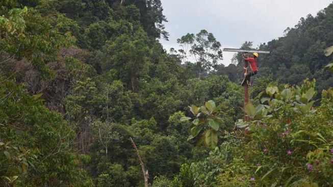 11 Desa Terpencil Kepri Kini Diterangi Listrik PLN, Tingkatkan Ekonomi Warga