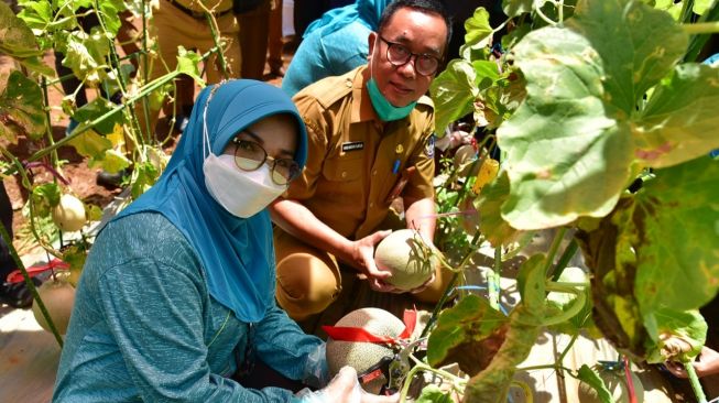 Lahan Kosong di GOR Sudiang Akan Dikelola Menjadi Agrowisata