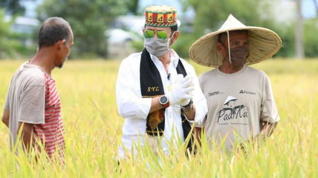 Kartu Tani Dinilai Jadi Kebijakan Tepat untuk Tingkatkan Kesejahteraan