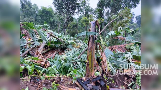 Salah satu rumah di Desa Tugubandung, Kecamatan Kabandungan, Kabupaten Sukabumi luluh lantak usai diterjang angin puting beliung, Kamis (29/10/2020). [Ist]