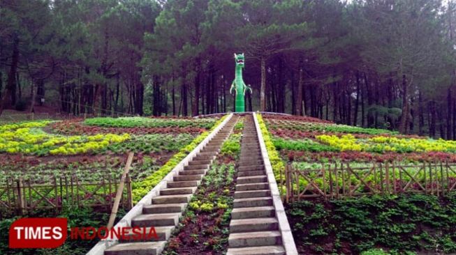 Bukit Kanaga, Objek Wisata Baru di Majalengka
