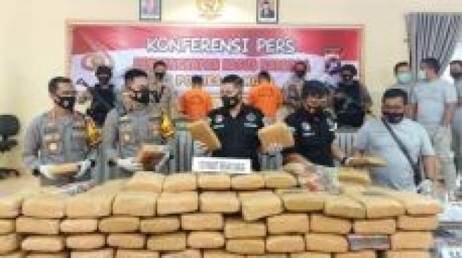 Fakta Dibalik 135 Kg Ganja di Limapuluh Kota: Jaringan Antar Provinsi