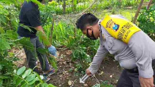 10 Berita Terpopuler : Jatuh dari Pohon Nangka, Petani Ponorogo Meninggal
