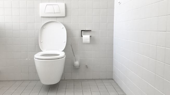 Toilet Ini Bisa Ubah Tinja Jadi Uang Digital dan Listrik