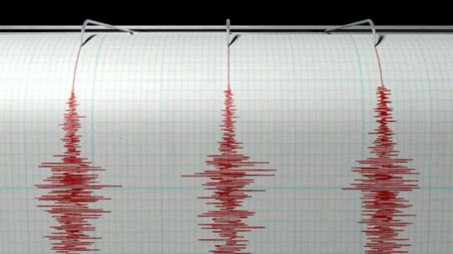 BMKG Pastikan Gempa dan Tsunami Di Turki Tak Berpengaruh ...