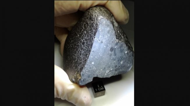 Meteorit NWA 7034. [NASA]