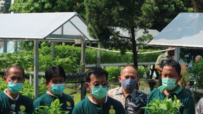 Mentan, Syahrul Yasin Limpo. (Dok : Kementan)