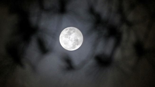 Fenomena Blue Moon terlihat dari Malino, Kabupaten Gowa, Sulawesi Selatan, Sabtu (31/10/2020). [ANTARA FOTO/Arnas Padda]
