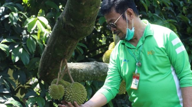 Mentan : Pasarnya Luas, Durian Jadi Buah Unggulan Indonesia